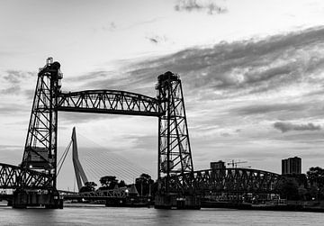 De Hef und Erasmus-Brücke Rotterdam schwarz auf weiß von Marjolein van Middelkoop