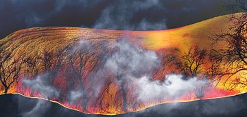 The Fire from Within