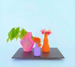 Fröhliche Vasen mit bunten Blumen .