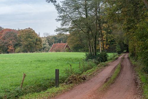 Zandpad door het Achterhoekse landschap