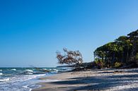 Der Weststrand auf dem Fischland-Darß par Rico Ködder Aperçu