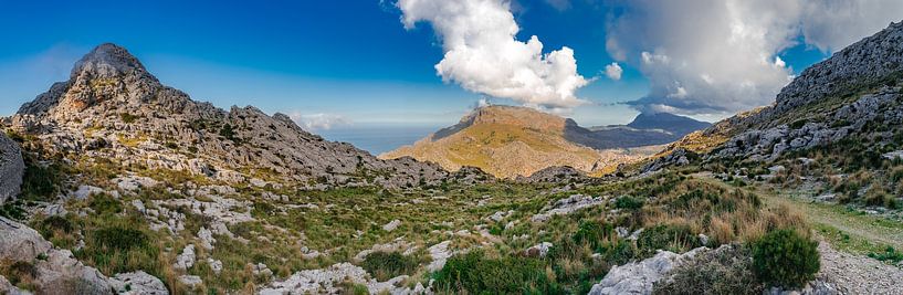 Sierra de Tramuntana auf der Insel Mallorca, Spanien von Alex Winter