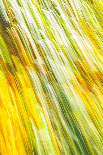 yellow with a little green