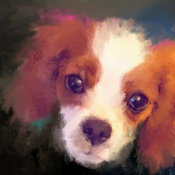 Cavalier King Charles Spaniel, dog portrait - The dog collection