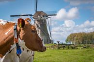 Koeien en een molen in de Vlist in de buurt van Gouda van Remco-Daniël Gielen Photography thumbnail