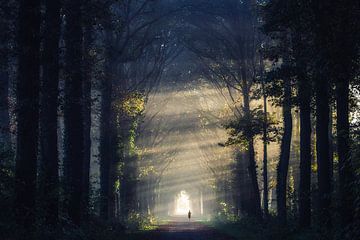 Running into the light by Edwin Mooijaart