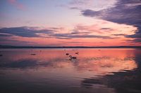 Zonsondergang van de Bodensee met zwanen
