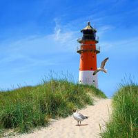 De vuurtoren op de dijk