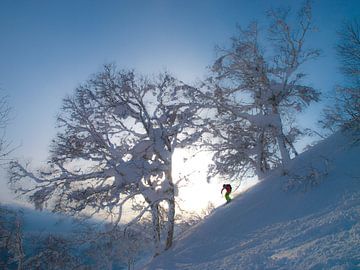 Skifahrer im Winterwunderland Niseko – Hokkaido, Japan