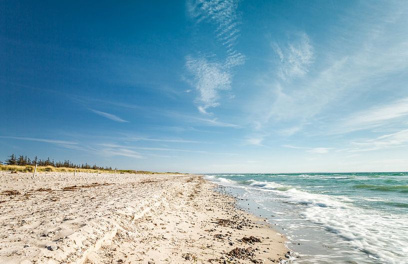 Insel Strand von Ursula Reins