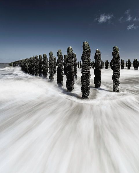 Piles à moules par Ralf Linckens