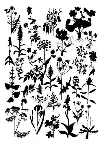 Collage of plants in black and white