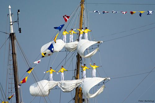 Sail 2015