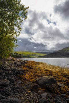 Loch Sunart / Shuaineart, Schotland