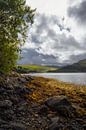 Loch Sunart / Shuaineart, Schottland von Pascal Raymond Dorland Miniaturansicht