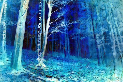 Bos in het maanlicht