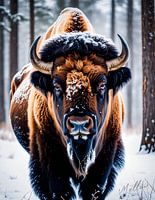 Amerikaanse bizon in de winter