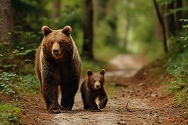 Ours dans la forêt