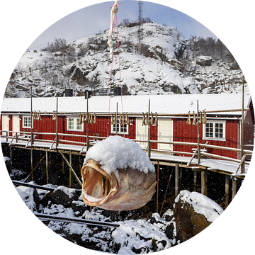 Traditionele visserswoningen op houten palen op de Lofoten in Noorwegen van gaps photography
