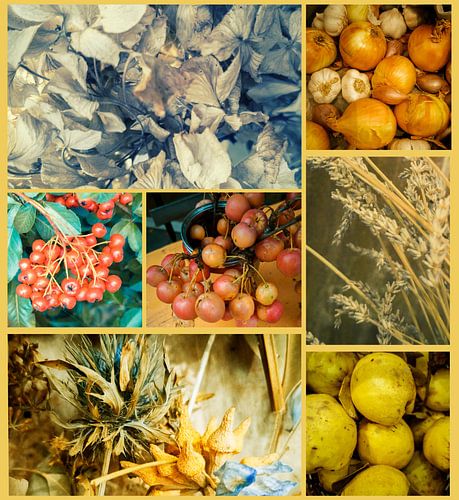 Herfst seizoensgebonden collage