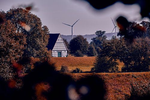 Herfstsfeer in Bad Salzuflen V