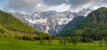 Vue du paysage de la vallée de Zgornje Jezersko au printemps sur Sjoerd van der Wal Photographie