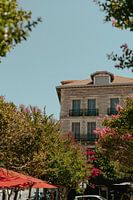 Hôtel à Biarritz devant une terrasse avec des fleurs roses dans les arbres.
