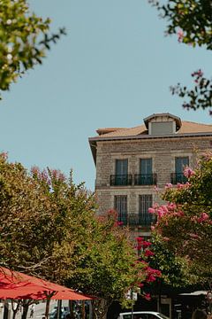 Hotel in Biarritz vor einer Terrasse mit rosa Blumen in den Bäumen. von Fotograaf Elise