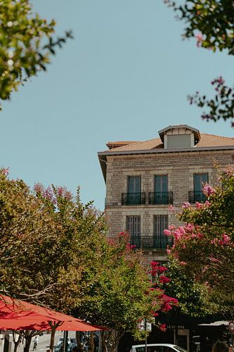 Hotel in Biarritz voor een terras met roze bloemen in de bomen.