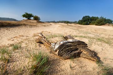 The Dutch Desert by Halma Fotografie
