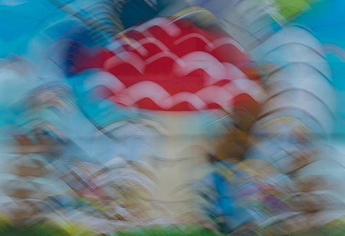 Pilz von Henk Jubbinga