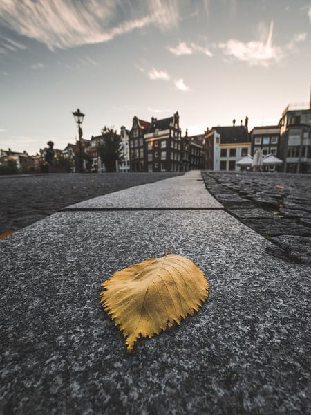Herfst in de stad van Georgios Kossieris