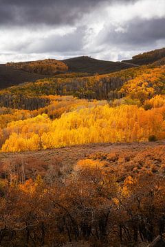 Couleurs d'automne dans l'Utah sur Martin Podt