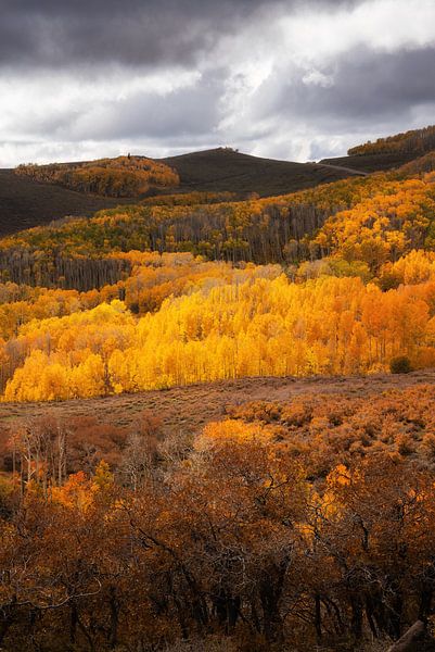 Herbstfarben in Utah von Martin Podt