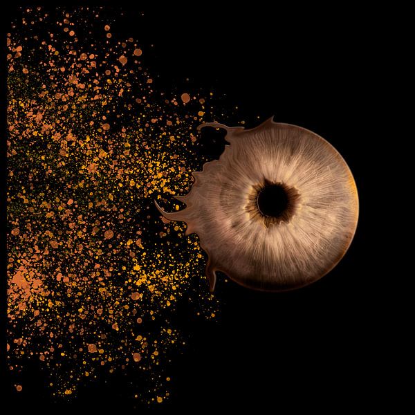 Die Iris deines Auges von Anneke Hooijer
