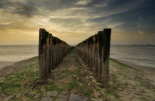Strandpfosten am Nieuwvliet-Bad