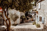 idyllische Straße in Südeuropa von Suzanne Fotografie Miniaturansicht