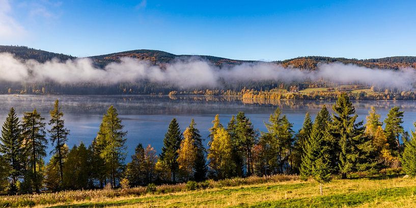 Morning fog at Schluchsee in the Black Forest by Werner Dieterich