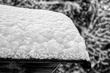 Dak met sneeuw van Frank Heinz