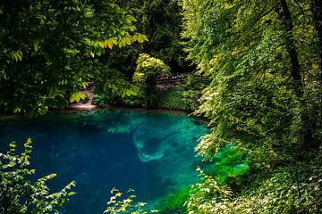 De Blauwe Pot - Blaubeueren- Duitsland van Photoart-Naegele