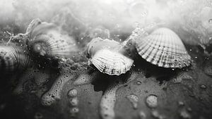 Beach Impressions No 65