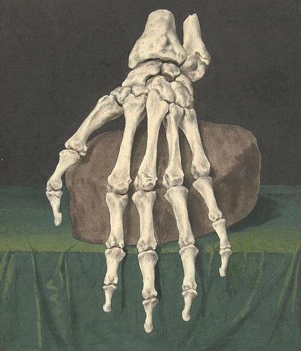 Jan l Admiral – Skeleton of a Hand (1709–1773)