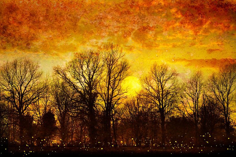 Bij zonsondergang van Corinne Welp