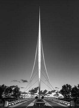 The Harp Bridge in black and white