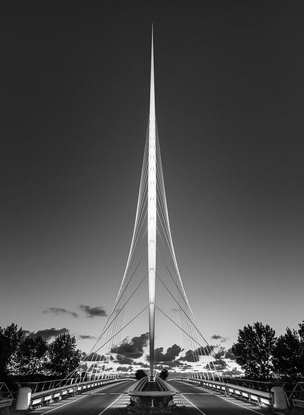 The Harp Bridge in black and white by Henk Meijer Photography