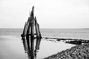 Port Greve