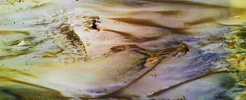 40 Days In The Desert