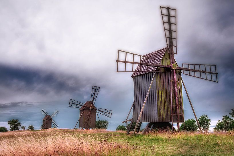 Öland's windmills by Marc Hollenberg