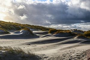 Dunes de sable mouvantes à Texel