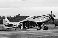 North American P-51D Mustang "Trusty Rusty". by Jaap van den Berg thumbnail